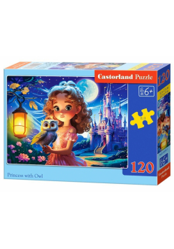 Puzzle 120 Princess with Owl B-13593-1