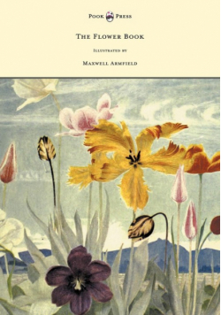 The Flower Book - Illustrated by Maxwell Armfield