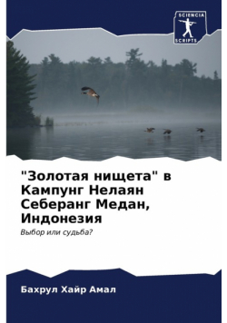 "Золотая нищета" в Кампунг Нелаян Себеранг Медан, Индонезия