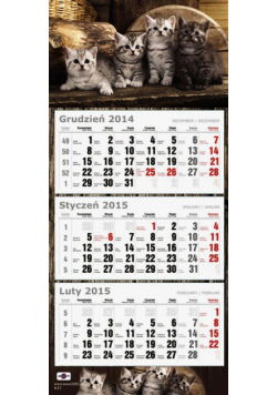 Kalendarz Trójdzielny Płaski 2015 koty