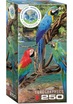 Puzzle 250 Macaws 8251-5588