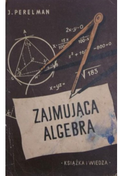 Zajmująca algebra
