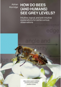 How Do Bees (And Humans) See Grey Levels?