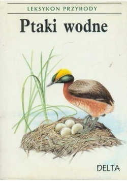 Ptaki wodne