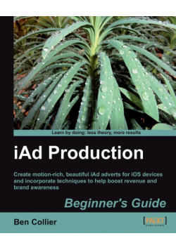 Iad Production Beginner's Guide