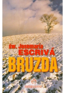 Bruzda