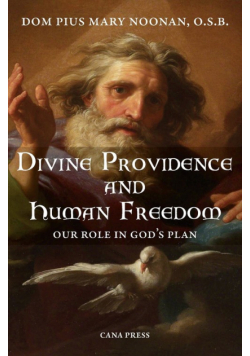 Divine Providence And Human Freedom