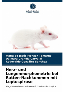 Herz- und Lungenmorphometrie bei Ratten-Nachkommen mit Leptospirose