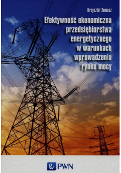 Efektywność ekonomiczna przedsiębiorstwa energetycznego w warunkach wprowadzenia rynku mocy