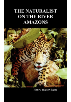 The Naturalist on the River Amazons