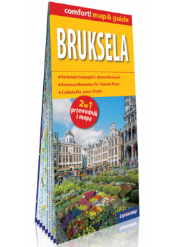 Bruksela 2w1: przewodnik i mapa