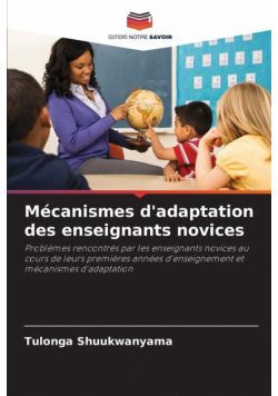 Mécanismes d'adaptation des enseignants novices