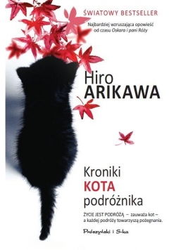 Kroniki kota podróżnika DL