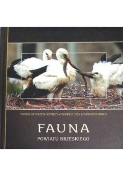 Fauna powiatu Brzeskiego