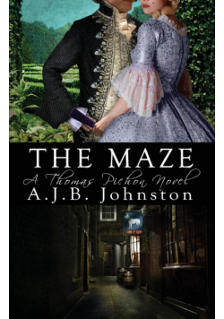 The Maze, a Thomas Pichon Novel