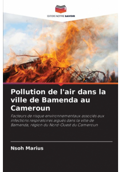 Pollution de l'air dans la ville de Bamenda au Cameroun