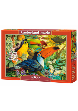 Puzzle Interlude 3000