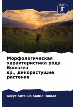 Морфологическая характеристика рода Bomarea sp., дикорастущие растения