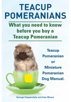 Teacup Pomeranians. Miniature Pomeranian or Teacup Pomeranian Dog Manual. What You Need to Know Before You Buy a Teacup Pomeranian.