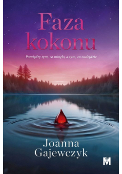 Faza kokonu