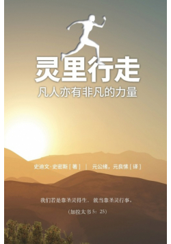 Spirit Walk (Special Edition) [Chinese] 灵里行走