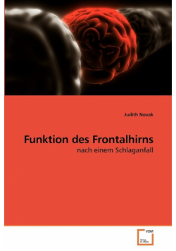 Funktion des Frontalhirns