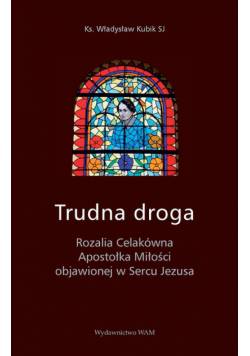 Kubik Wiesław - Trudna droga