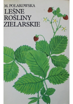 Leśne rośliny zielarskie