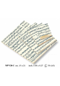 Notes ozdobny A5 BR 50 kartek NP V20C
