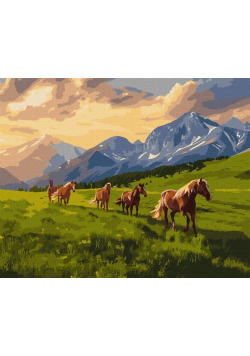 Malowanie po numerach - Wolny duchem 40x50cm