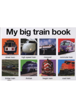 My big train book