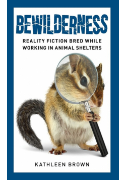 Bewilderness