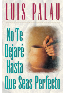 No Te Dejare Hasta Que Seas Perfecto