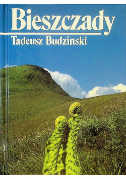 Bieszczady