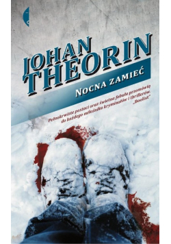 Nocna zamieć