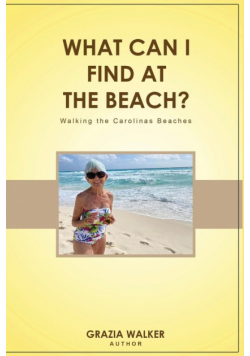 What Can I Find At The Beach?