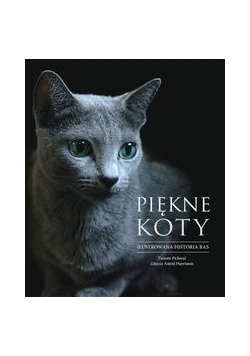 Piękne koty