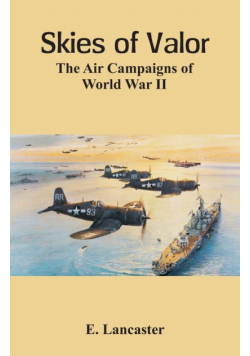 Skies of Valor The Air
