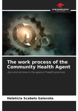 The work process of the Community Health Agent