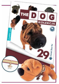Chiński Shar Pei