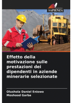 Effetto della motivazione sulle prestazioni dei dipendenti in aziende minerarie selezionate