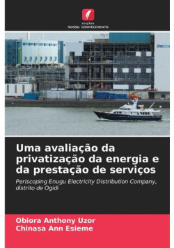 Uma avaliação da privatização da energia e da prestação de serviços