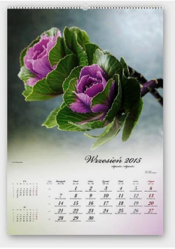 Kalendarz 2015 Poezja natury