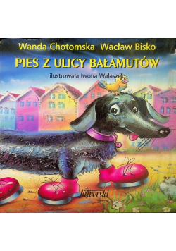 Pies z ulicy Bałamutów