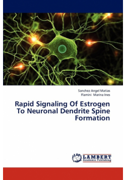 Rapid Signaling of Estrogen to Neuronal Dendrite Spine Formation