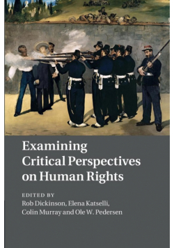 Examining Critical Perspectives on Human Rights
