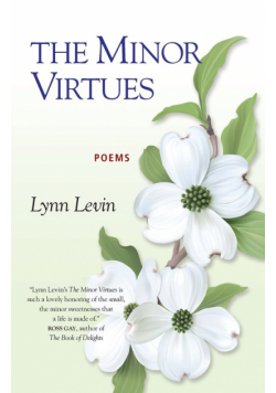 The Minor Virtues