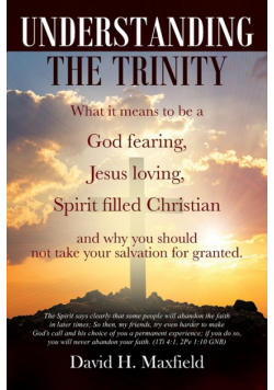 Understanding the Trinity