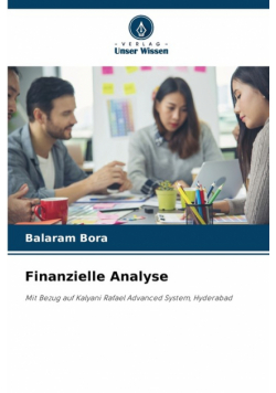 Finanzielle Analyse