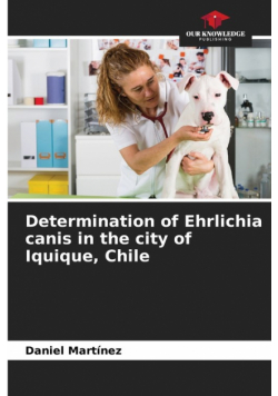 Determination of Ehrlichia canis in the city of Iquique, Chile